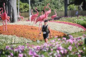 BIB: 
                            <button type="button" onclick="openModal(27793956)" class="btn btn-primary btn-sm float-right btn-popup" data-toggle="modal" data-target=".modal-high-quality">
                        <i class="fas fa-shopping-cart"></i> Add to Cart
                    </button>
                                            <button type="button" onclick="isThisMe(27793956, true)" class="btn btn-success btn-sm float-right btn-popup btn-isme hidden" data-toggle="tooltip" data-placement="bottom" title="นี่คือรูปของคุณใช่ไหม คลิกที่นี่เพื่อเอาเข้าอัลบั้ม">
                        <i class="fas fa-plus"></i> Add to album
                    </button>
                    <button type="button" onclick="isThisMe(27793956, false)" class="btn btn-warning btn-sm float-right btn-popup btn-isnotme hidden">
                        <i class="fas fa-ban"></i> Remove from album
                    </button>